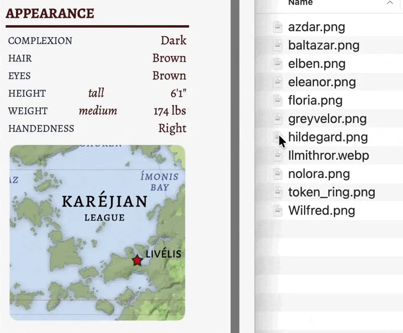 Placing a custom picture on the character sheet.